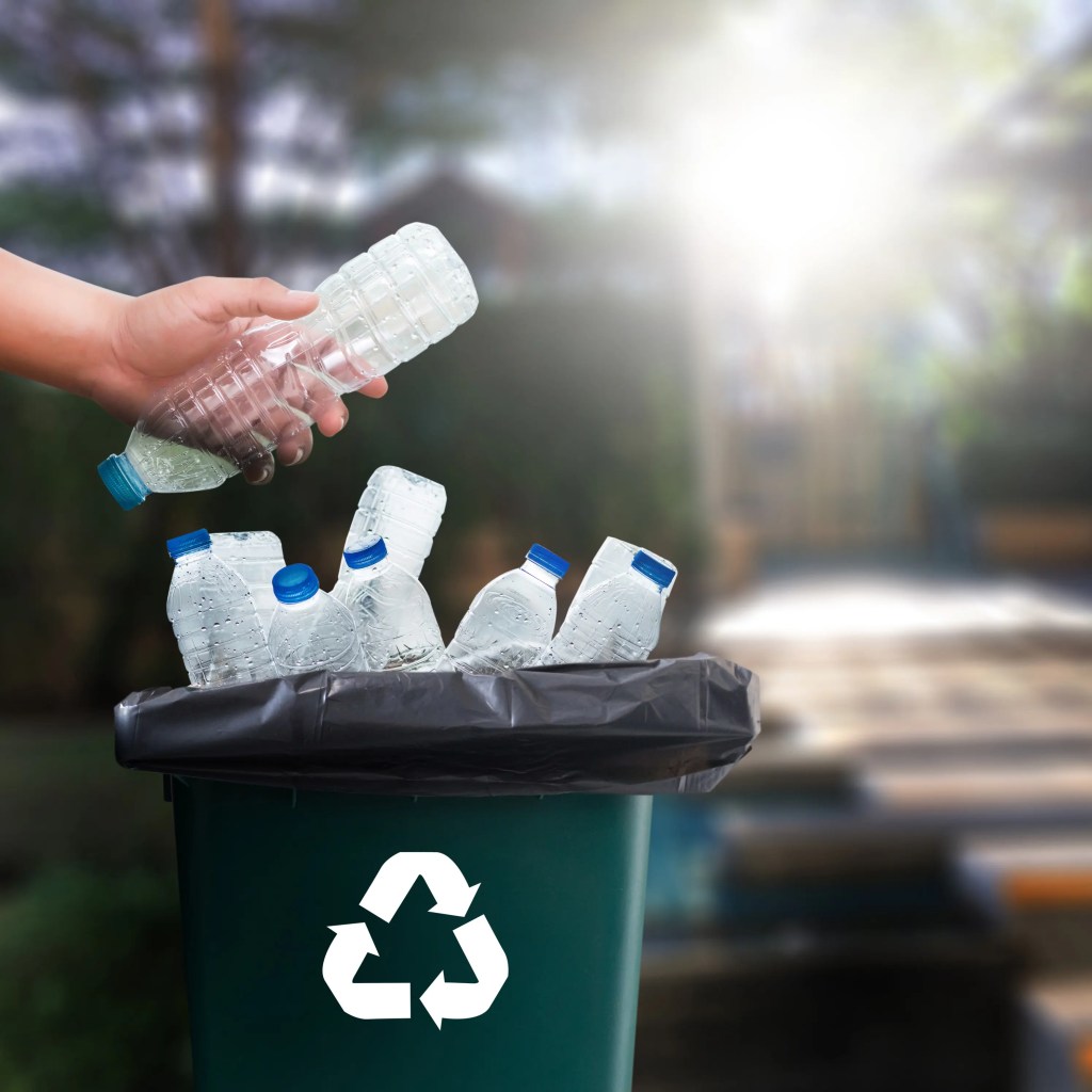 Essential Recycling Guide: What to Recycle and What to&nbsp;Toss